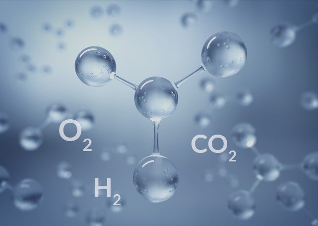 Składniki atmosfery O2 CO2 H2O